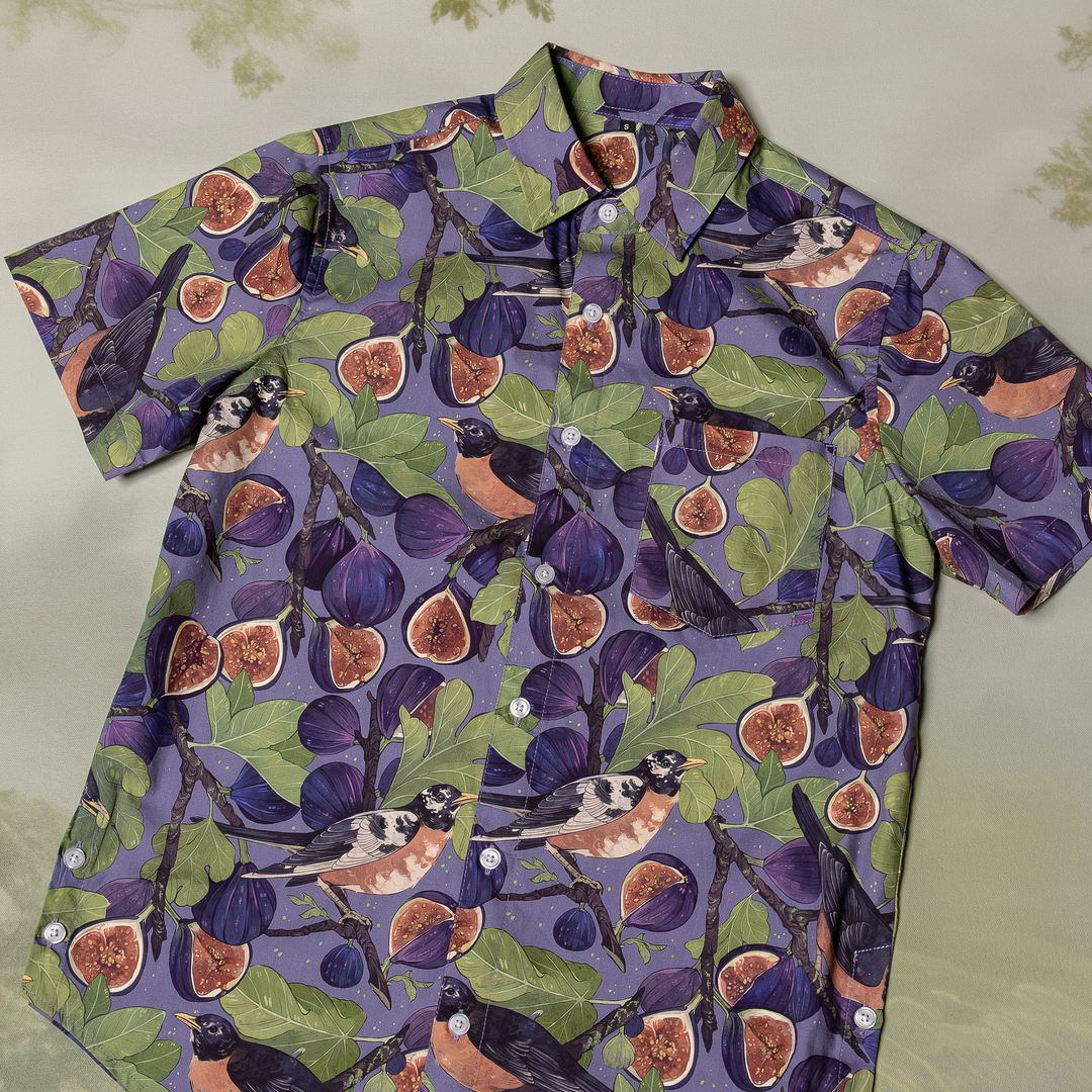 COMING SOON [BUTTON DOWN SHIRT] Fig & Robin