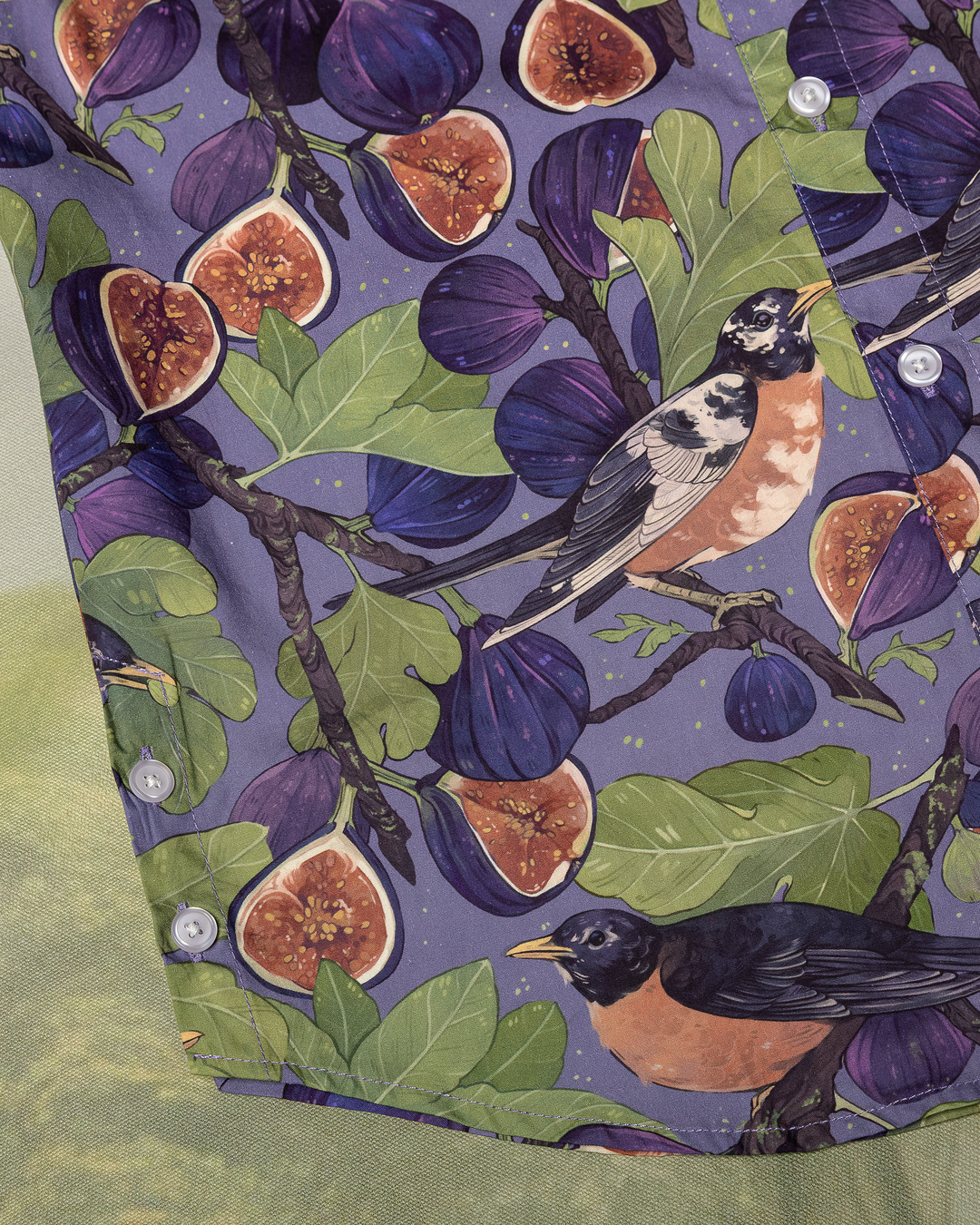 COMING SOON [BUTTON DOWN SHIRT] Fig & Robin