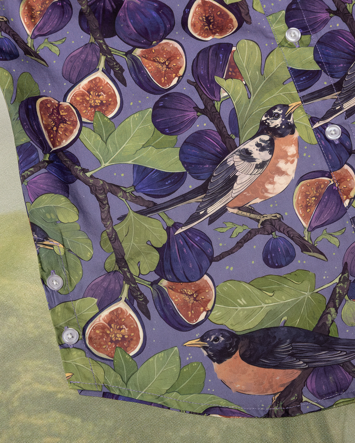 COMING SOON [BUTTON DOWN SHIRT] Fig & Robin